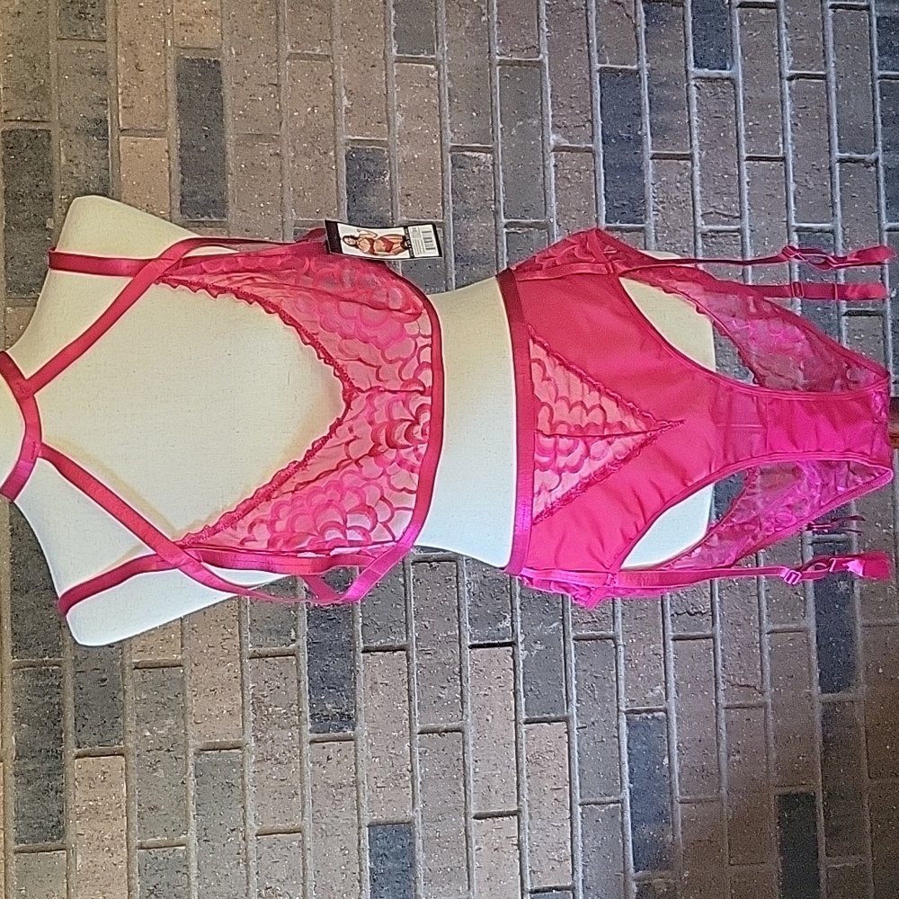 Oh la la Cheri Paris, lace harness neck bra & gartered open back panty set, 3-4X